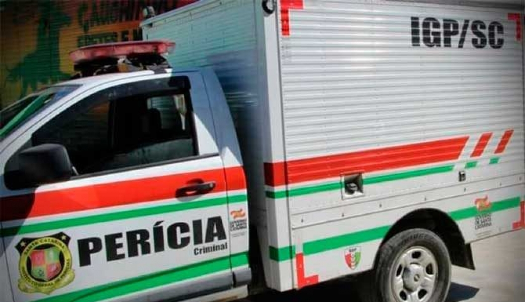 Menina de 11 anos morre eletrocutada em cerca elétrica no Alto Vale do  Itajaí